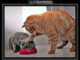 pour-vous-faire-sourire