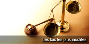 loi-insolites