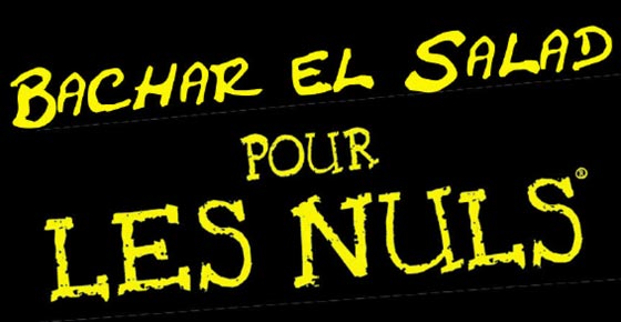 bachar-pour-les-nuls